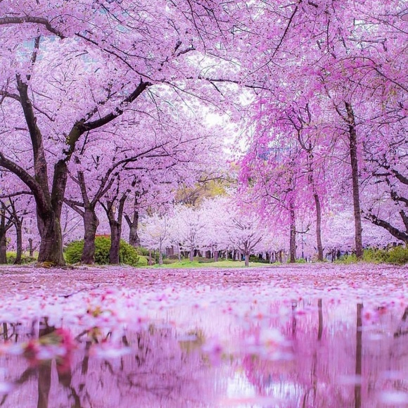 Meet your Posher, V - Picture 1 of 1